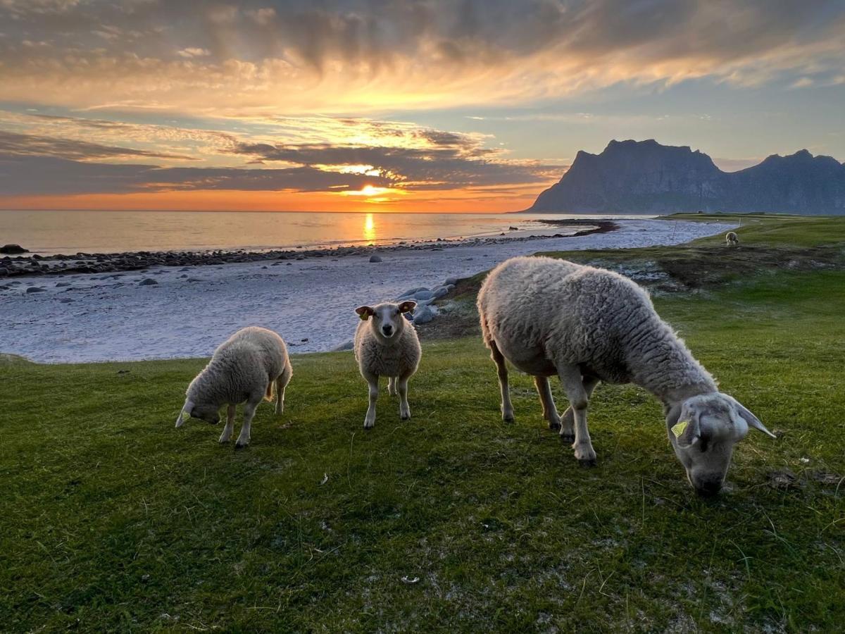 Real Fisherman'S Cabins In Ballstad, Lofoten Exteriör bild